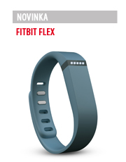Fitbit Flex
